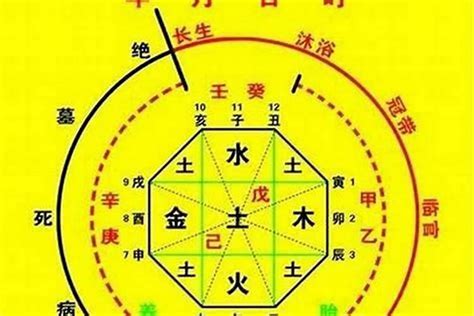 喜用神火木|八字喜用神为木火：五行旺衰与生活决策指南